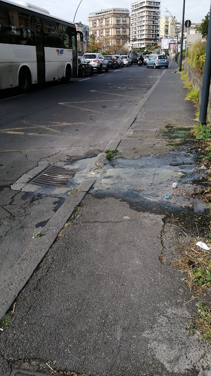 113643430-1826527f-2df5-4710-b0a8-5d1537618b4f