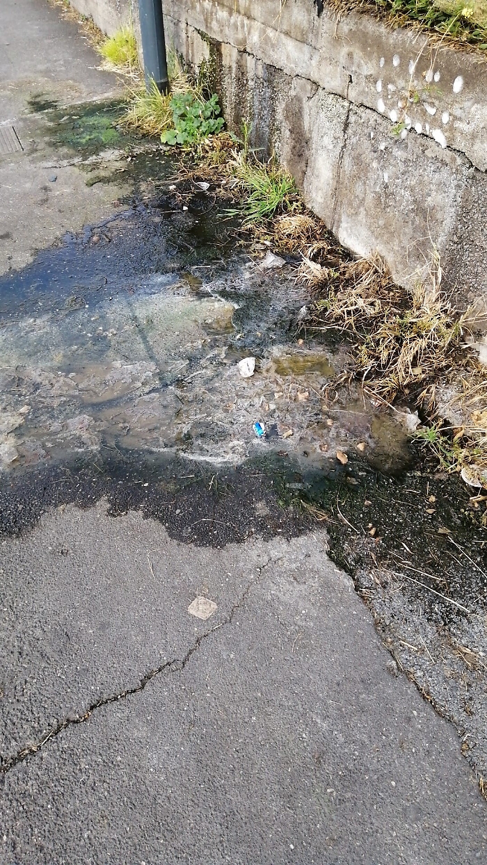 113647204-e31a3d20-5bf2-469f-8a37-bd5a25573061