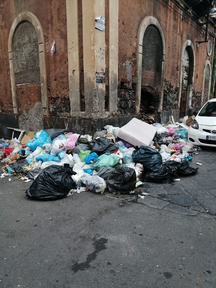 112042433-443bfed1-7c83-433c-a294-81c9400bf9fd