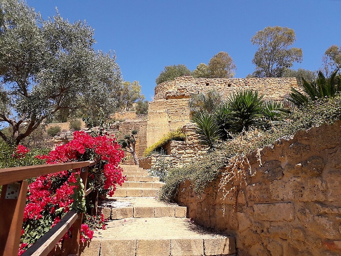 152747150-d313c097-c8ae-4382-b419-c09538d8e72a