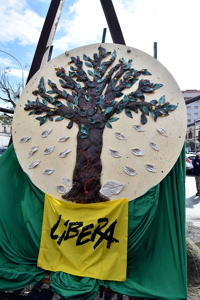 114905522-72bd4579-679e-47a8-a113-18936d7d3176