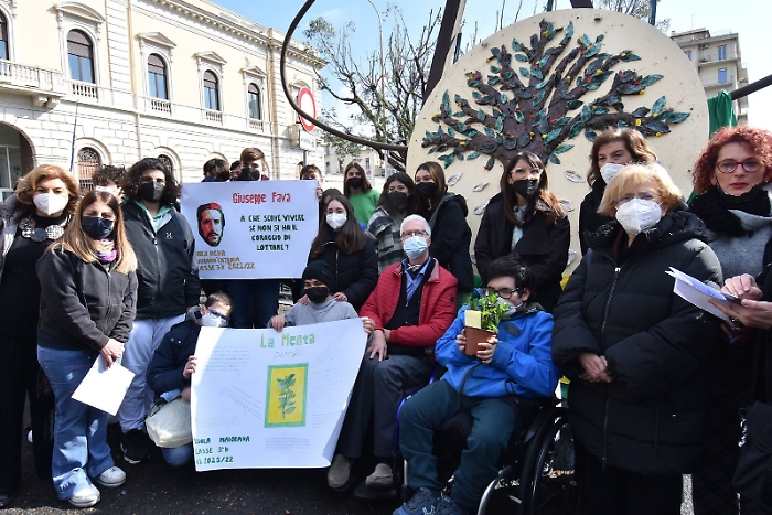 114905794-bc87d4b5-abe5-409b-93bd-90cb9e6e4b65