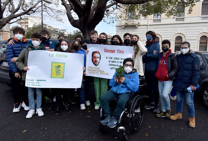 114907275-977eb4c7-5855-4977-b412-b1ea5d8306c8