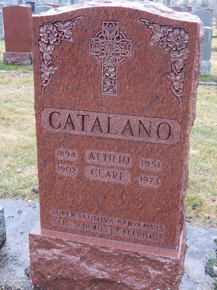 184453954-320e5390-8150-4a79-90ea-0bebd5d42e08