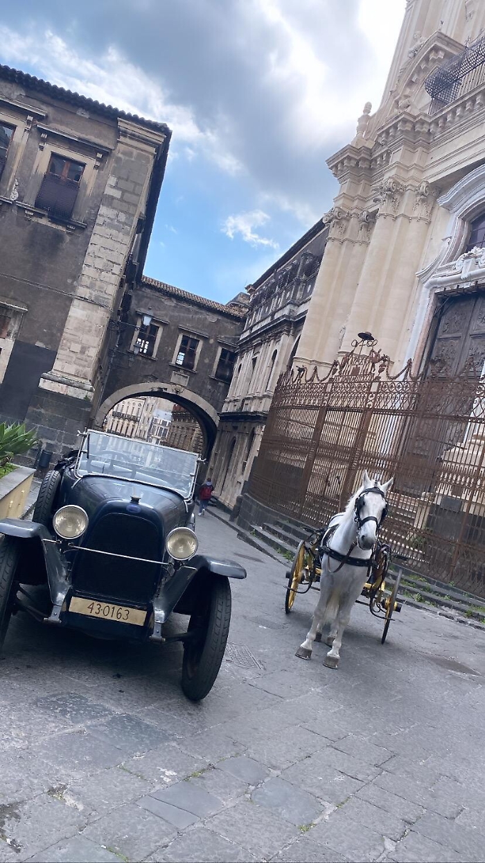 161413507-ef6059f8-6a1b-4b38-8d79-108430d8c6b6