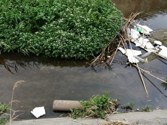 153554284-f5a8a153-2643-4f62-9f85-af49f4af8e63