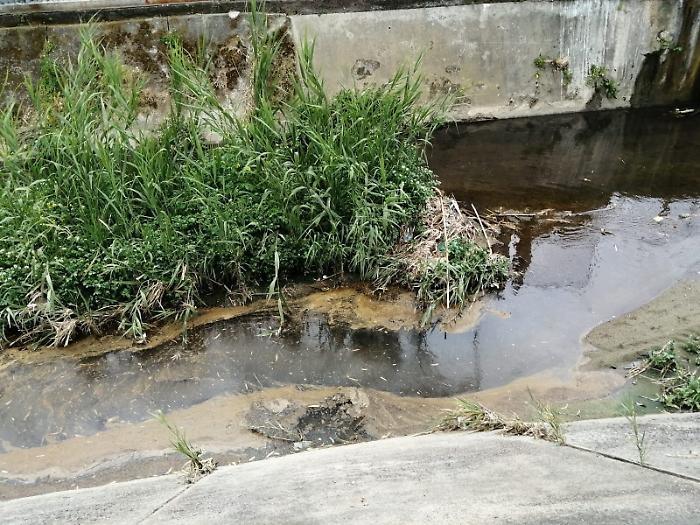 153555595-01e1c32b-8b2f-4668-845f-de5f13d99033