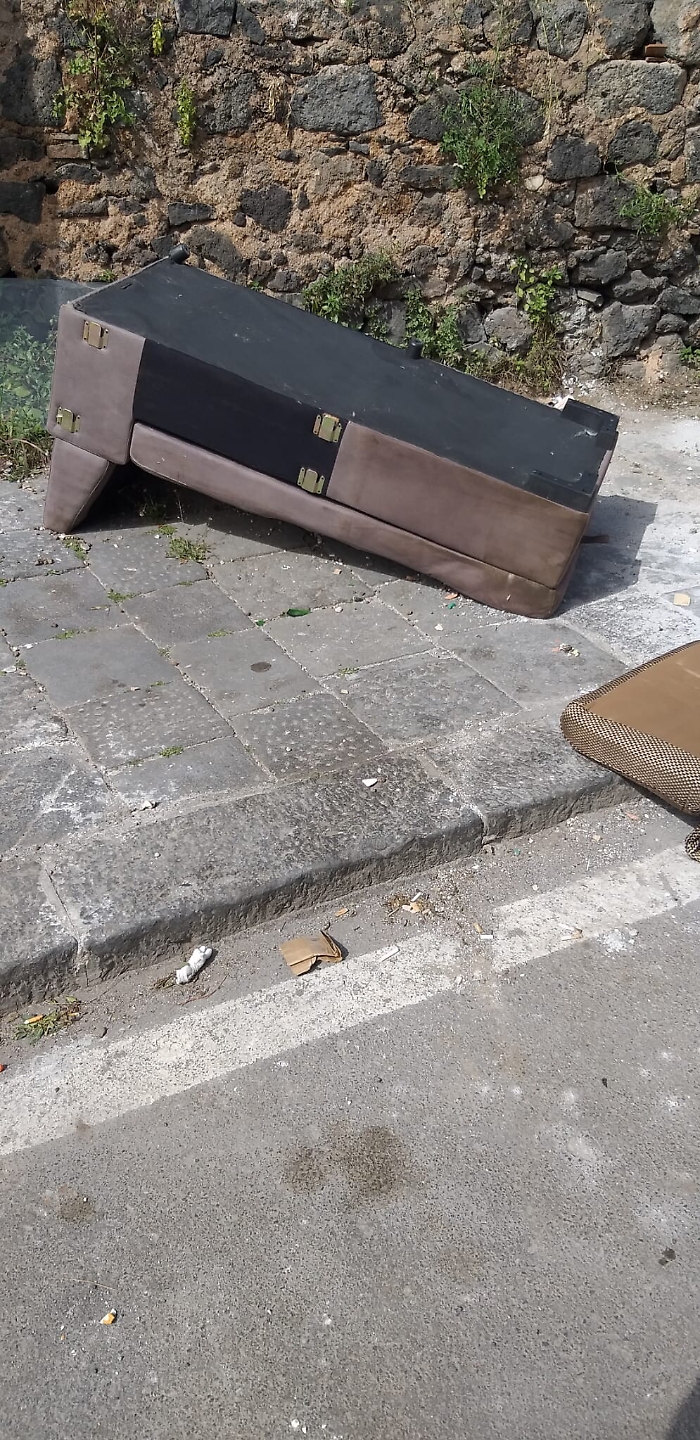 174237459-045aca74-b133-4acb-98f6-d99e4cebcd0a