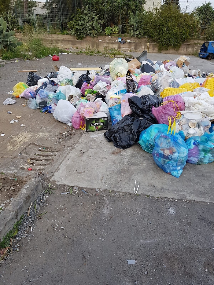 174937675-01e6c3d0-89a5-452e-9f25-3e88a34b0766