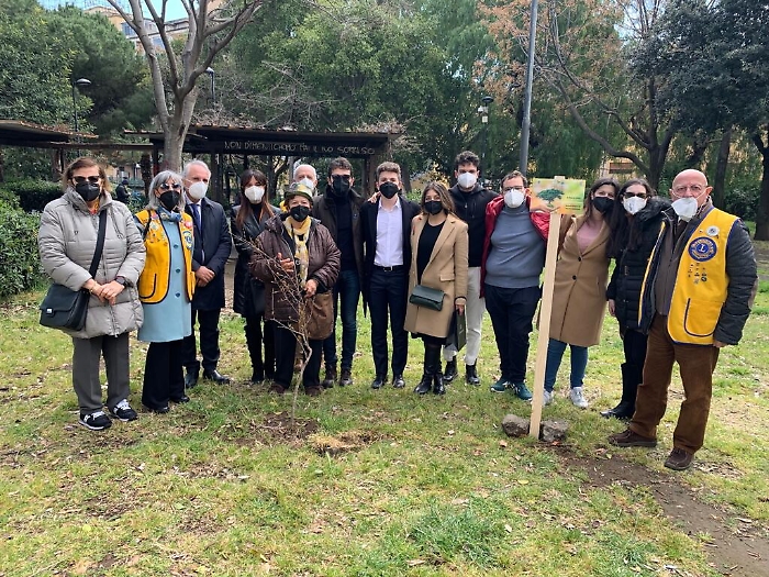 171846499-935100d3-323d-4758-9eb9-1b47caf6f804