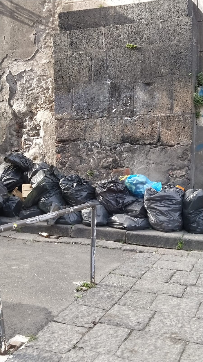 172223002-f1d384f6-61ff-4bd5-a0a6-ca7a15159bb3