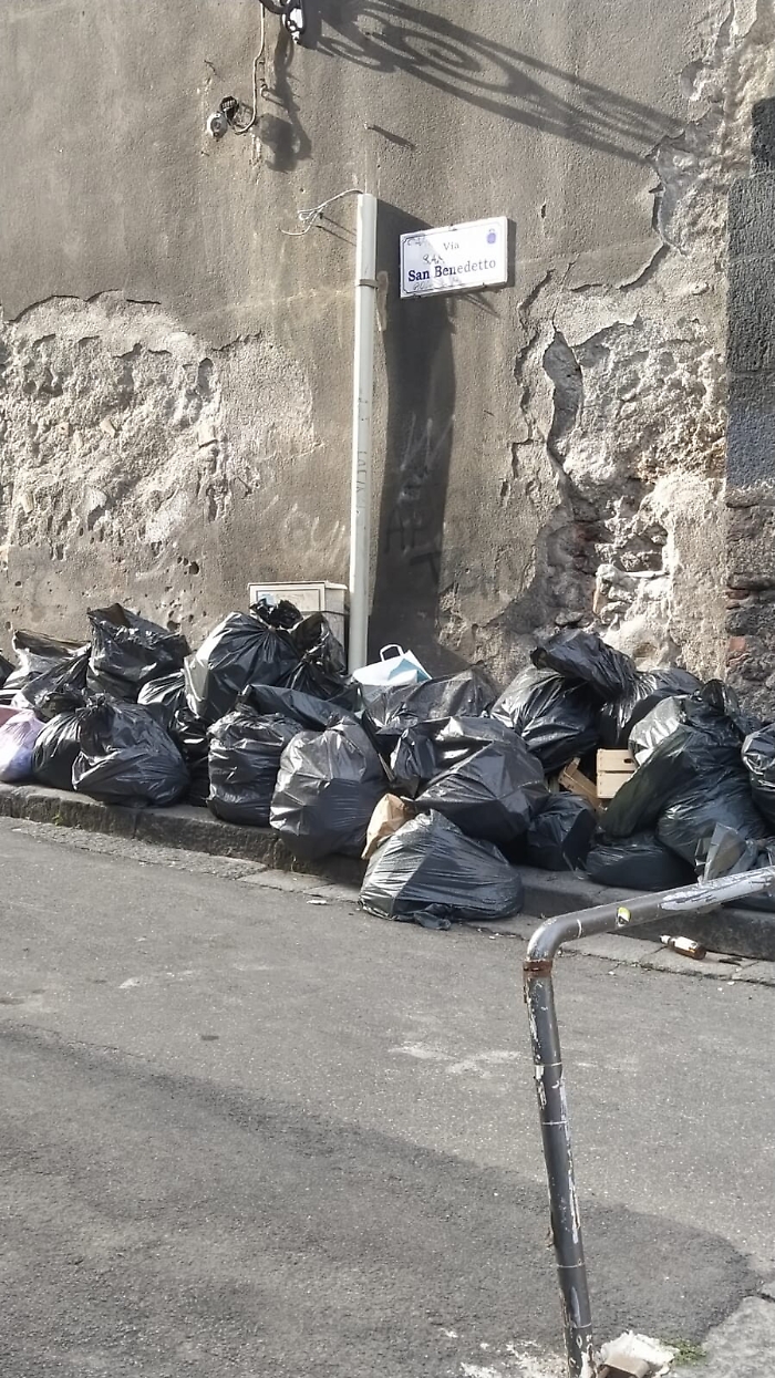 172223184-e28ee750-cc63-401d-8201-d546e7ce434c