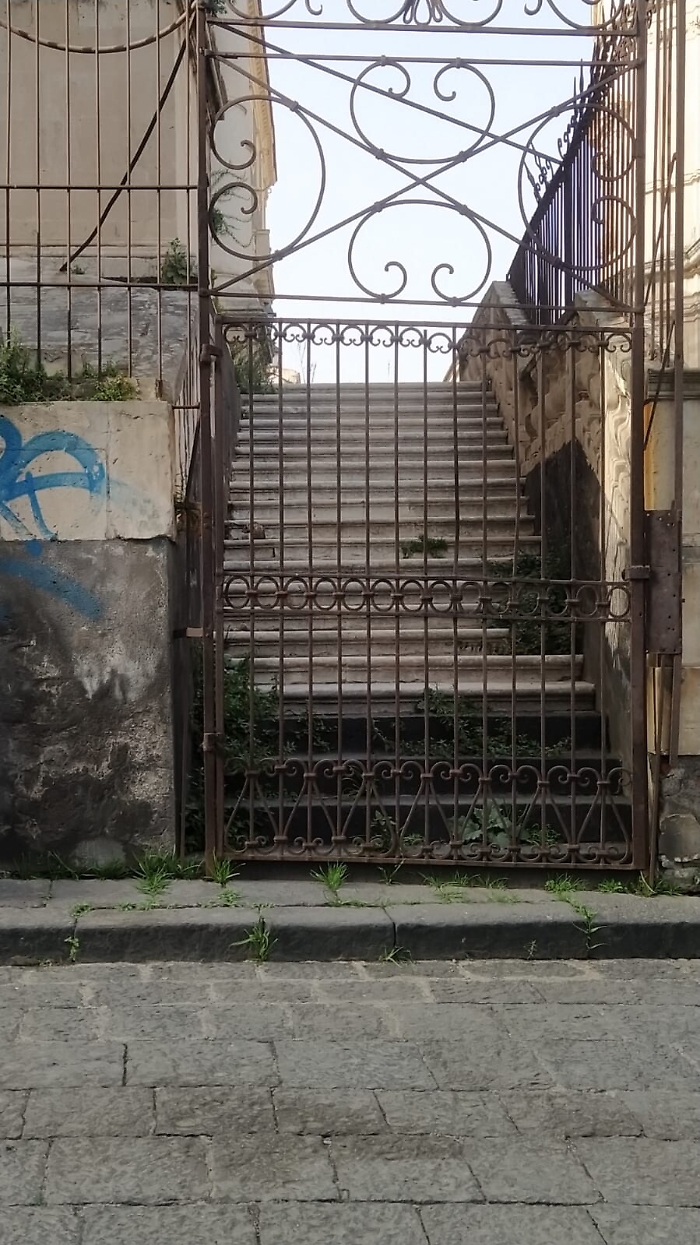 172225620-45d9c1d3-ff62-489a-a400-444e23026d67