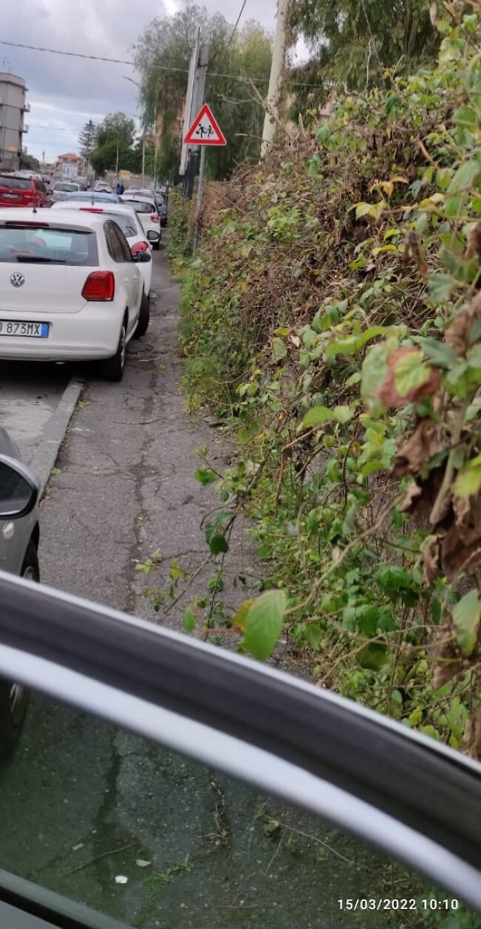 093327806-d934c4c9-b5a1-4eeb-8ae7-48943dd23869