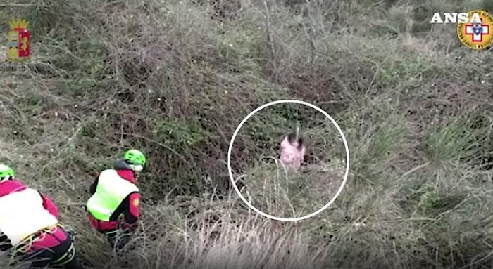 135122479-4769b7fb-a958-4ff0-b499-07231bbb7882