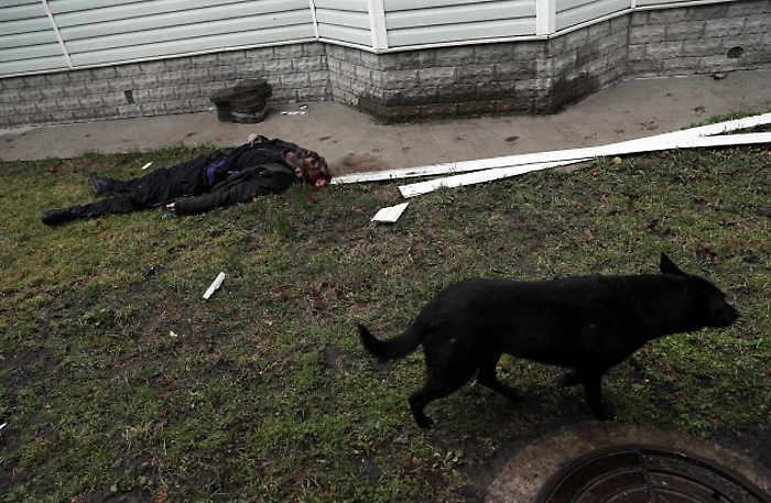 192055022-0bcaa2e7-3c23-4bad-bc82-9ed3fb5e3c25