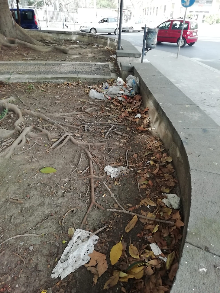 161252022-ab12b432-9350-442a-9761-af8ca9f49338