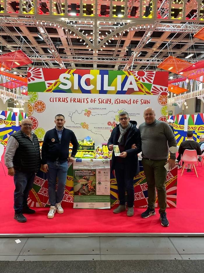 203500876-18106611-71f1-4b0e-99a3-fb73454f047f