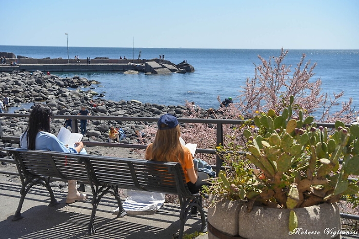 132524087-1f34a8a1-9372-4ab5-941e-a0f82fbdb26b