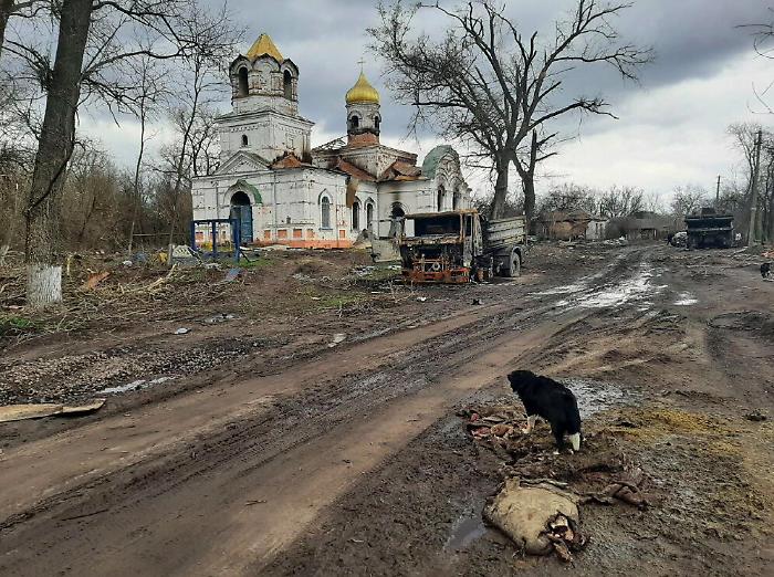 145433575-6804ab05-ff11-46ee-803e-225c8d2325b1