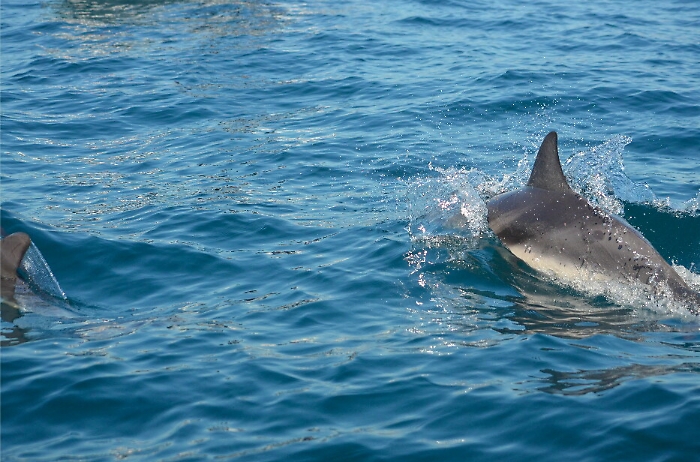 084151113-cc4c2db7-2ec5-4124-9a37-cfa57b58705c