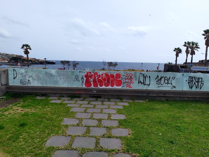 104916703-31380700-c6fe-4f90-9d2c-46e65cdc1120