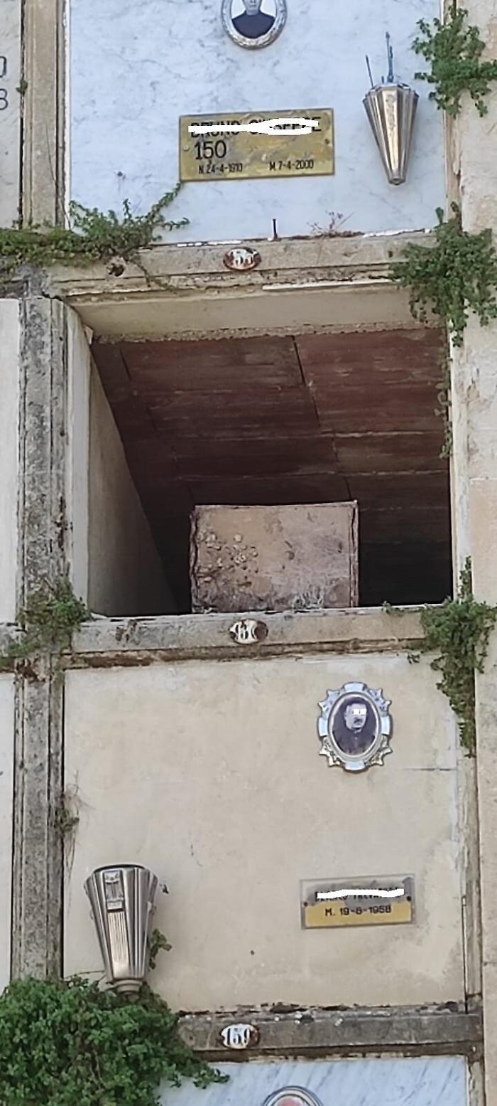 114055608-e6696a46-1f84-4db1-a208-c5712c629a1e