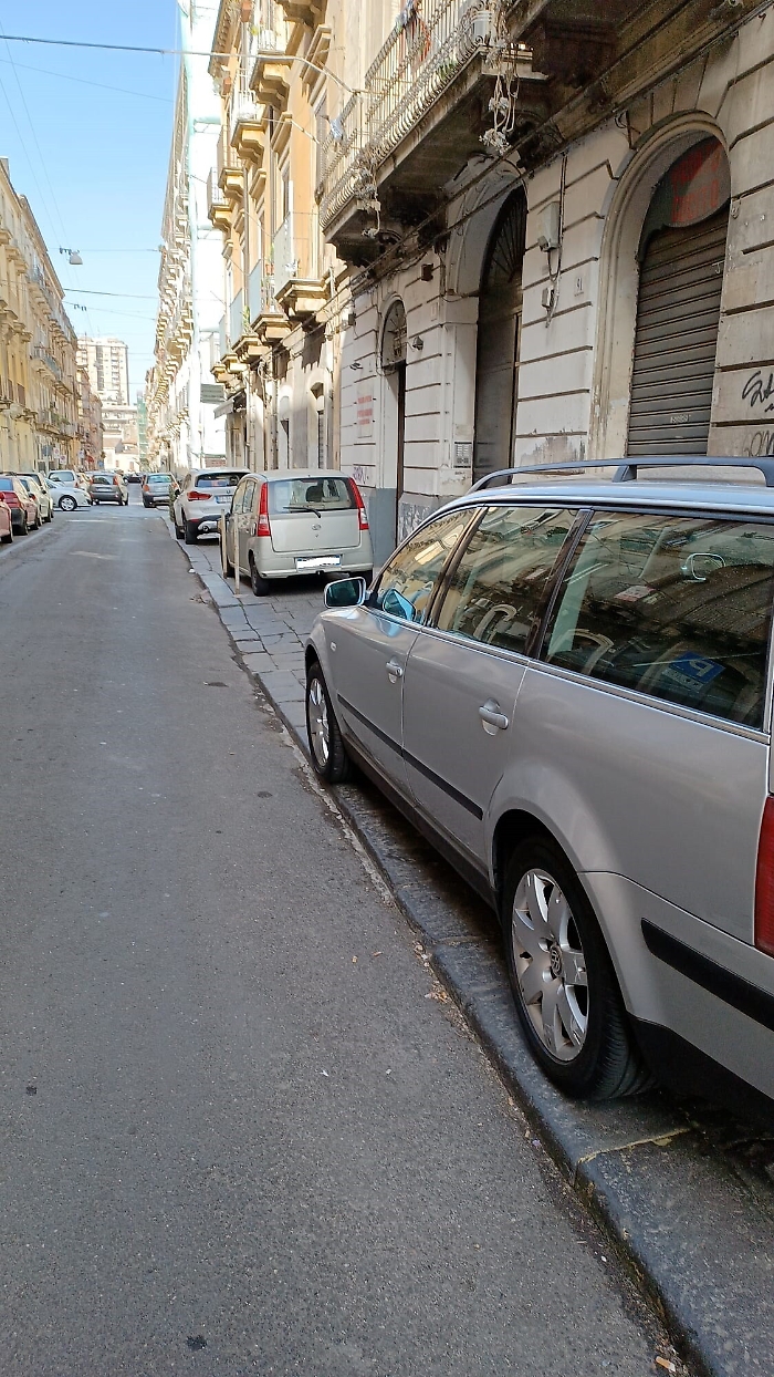 084423413-a0480b68-96cd-4abe-8241-367df9d8d0bb