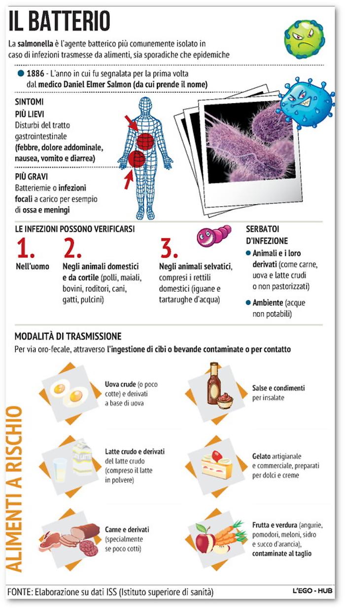 161637319-cb9d5198-fd90-4e05-ba10-725dccbd8566