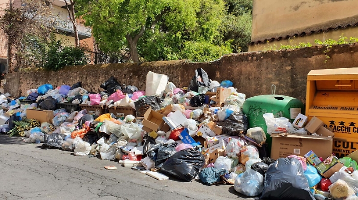 105708543-86c8fe18-56a0-4949-a6b9-d81037968a04