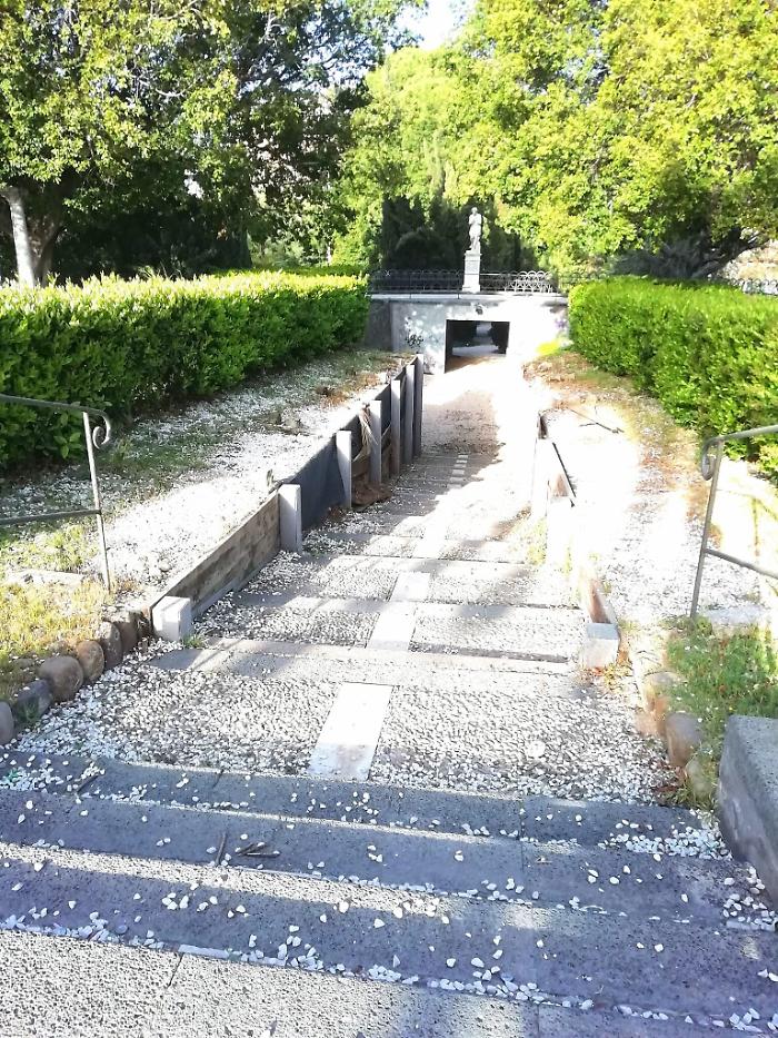 111342590-11a0665c-a6d3-4185-ab94-3be3483733cf