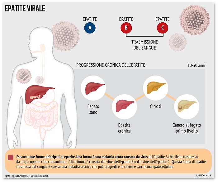 121322298-729f78c1-c3f7-487b-9503-7927ae7bb9c5