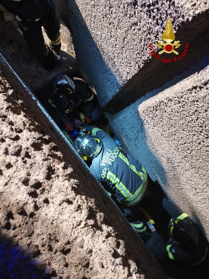 201128654-09050757-ee24-4463-ad76-35e34c9fff3c