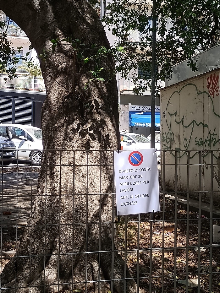 160958478-5efb707d-5187-41a1-a77e-5cbf590f55eb