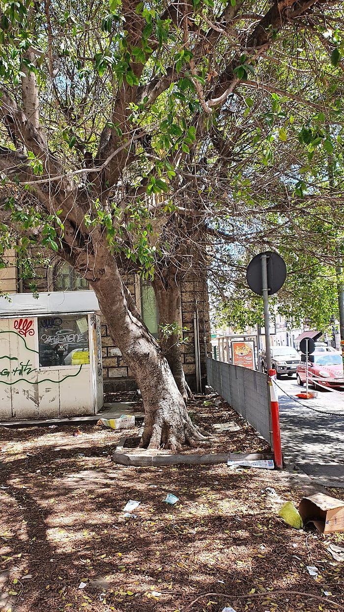 161002208-a62c44d4-a203-42db-8de4-ded309b9436a