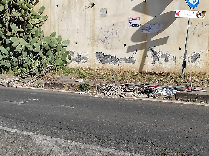 161453488-50c3621e-1540-4a7d-b767-6395ace47a9f