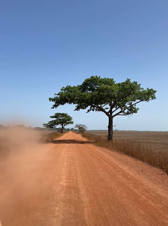 191419772-42715904-44be-4edf-8f07-00d178c7af5b