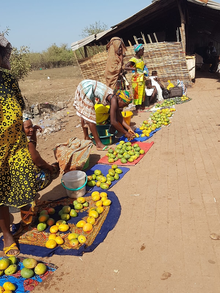 191522592-e652e5a1-8bf0-407c-835e-d3fb4988f218