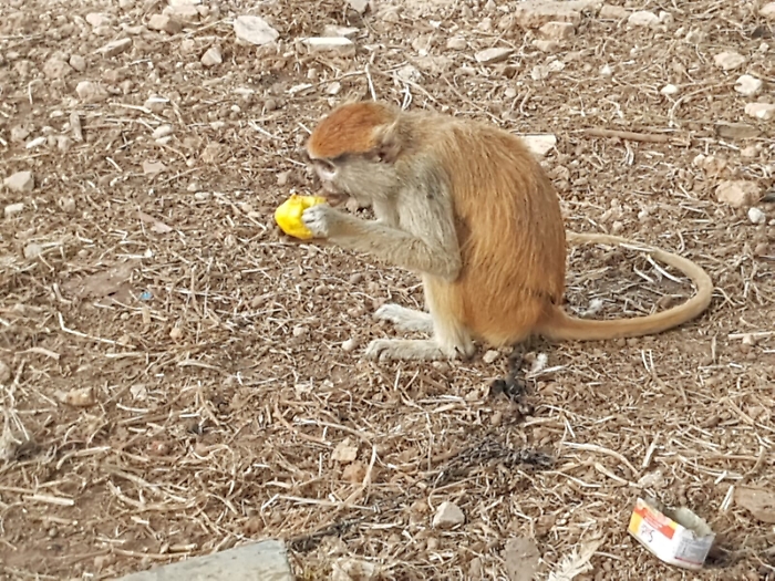 191523080-fa414be8-c208-45c7-9ad9-91db591560d1