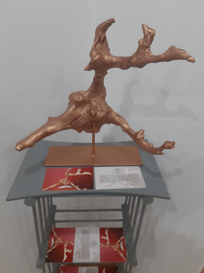 134833166-a2cc6b00-6e67-4c5e-b2c0-e2472a746cf7