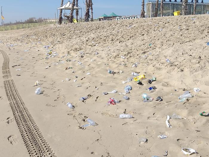 161125816-11dcb9fa-13ba-467e-a760-1b8c60a11ae3