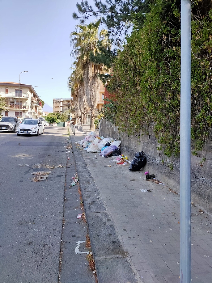 094154312-4e305089-d2e5-4095-a071-4d9141fd71e6