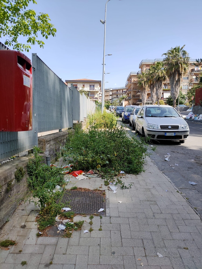 094155372-8b6923a4-5f25-454b-b2cf-886f6670ae9f