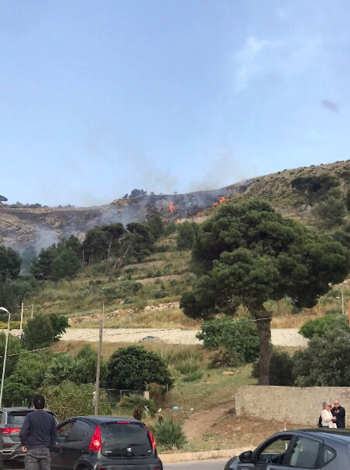 175910571-d9f907f6-a242-48d2-86ab-63a5340f0568