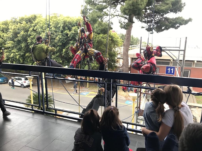 112945761-255d64ab-43b5-46e3-9c94-d5073b413e46