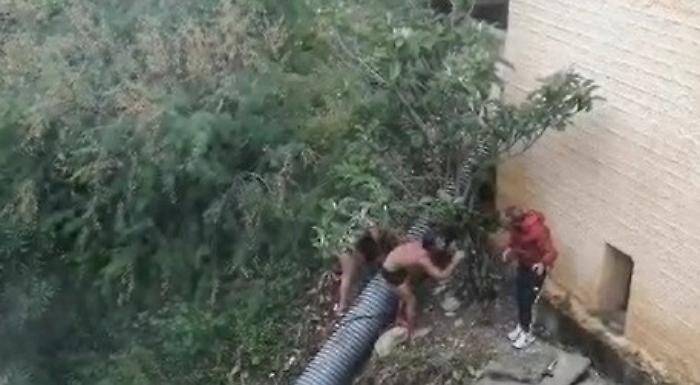 181231171-549152d2-8d76-4583-84e0-67c30a9eaa46