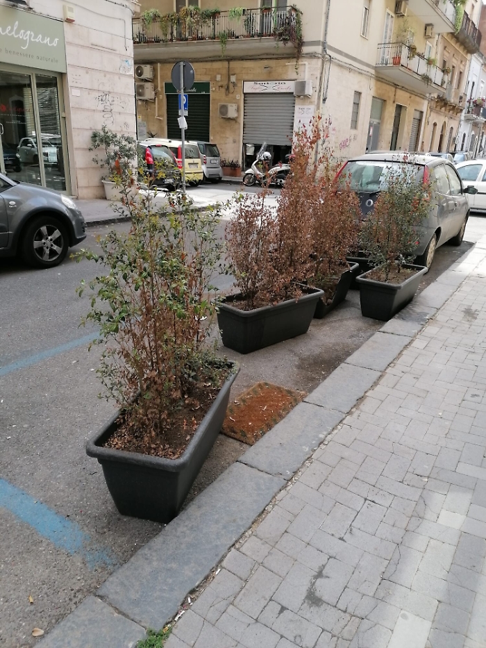 164806031-041bb9bd-23cc-4432-ac26-6a4ce35d2609