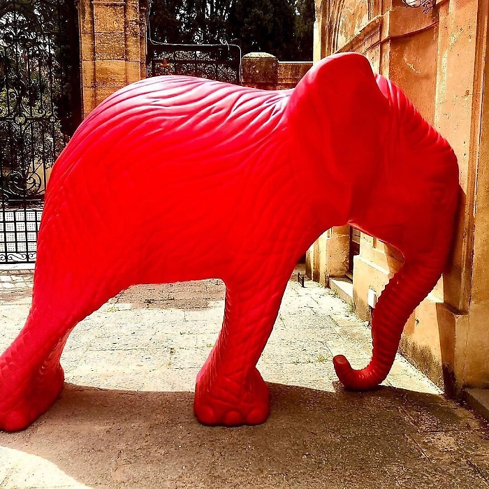 133429369-3e06524a-da80-4744-9d5d-563ea44af516