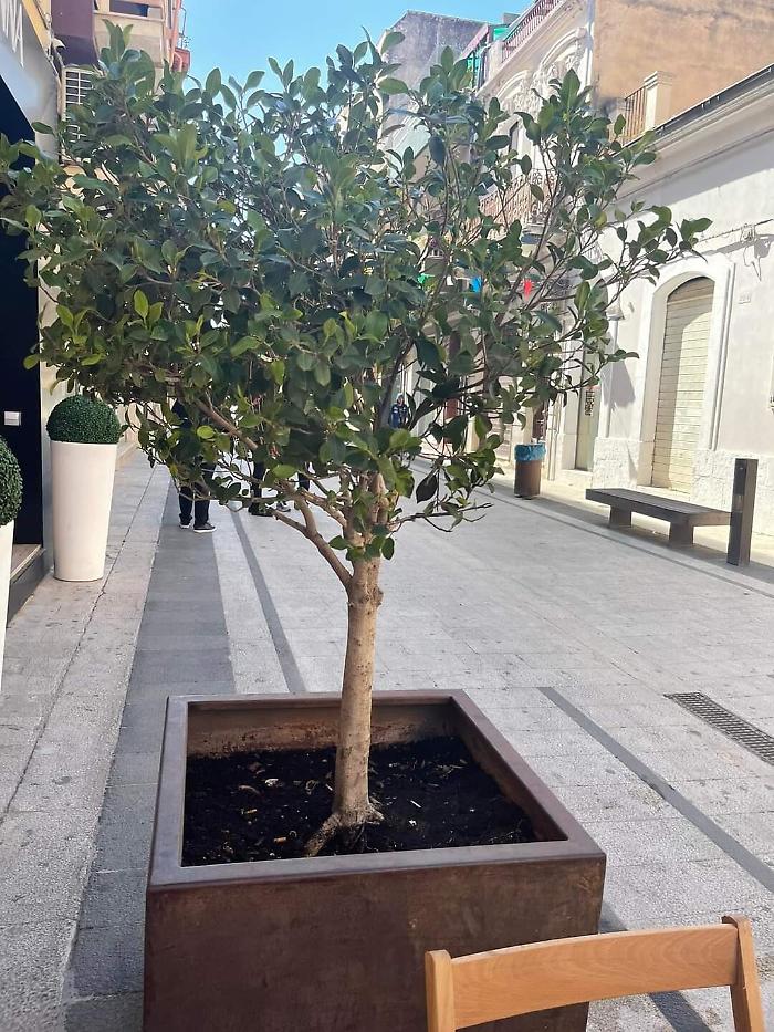 171250930-8baf0fc0-5982-4eed-8f74-16420d38b010