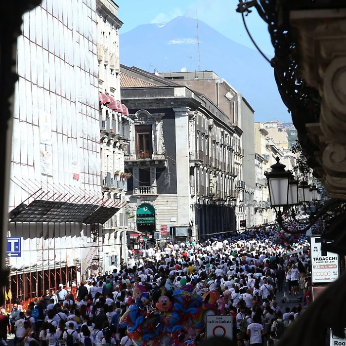 124215279-c568d81c-7b33-4e18-8f4c-44af84837867